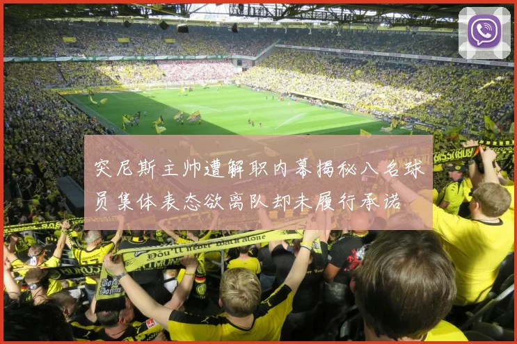 突尼斯主帅遭解职内幕揭秘八名球员集体表态欲离队却未履行承诺