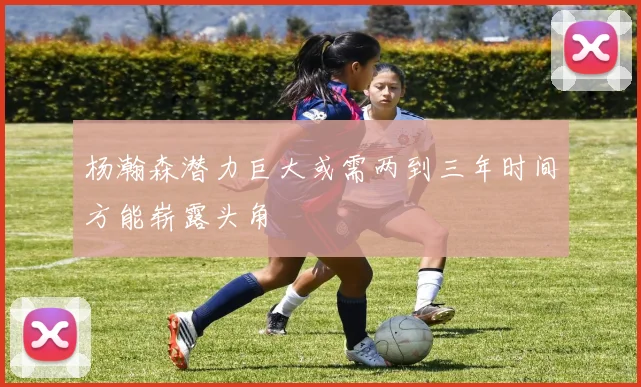 杨瀚森潜力巨大或需两到三年时间方能崭露头角
